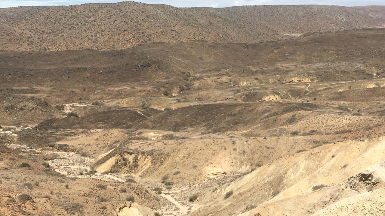 Foto 5